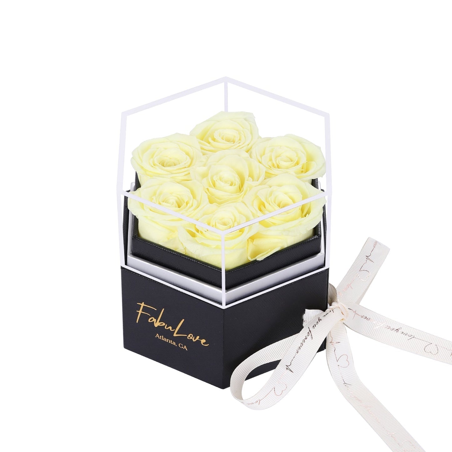 Eeuwige Rozenbox met Verborgen Ketting