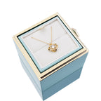 Rozenbox met Zilveren Ketting en Echte Roos