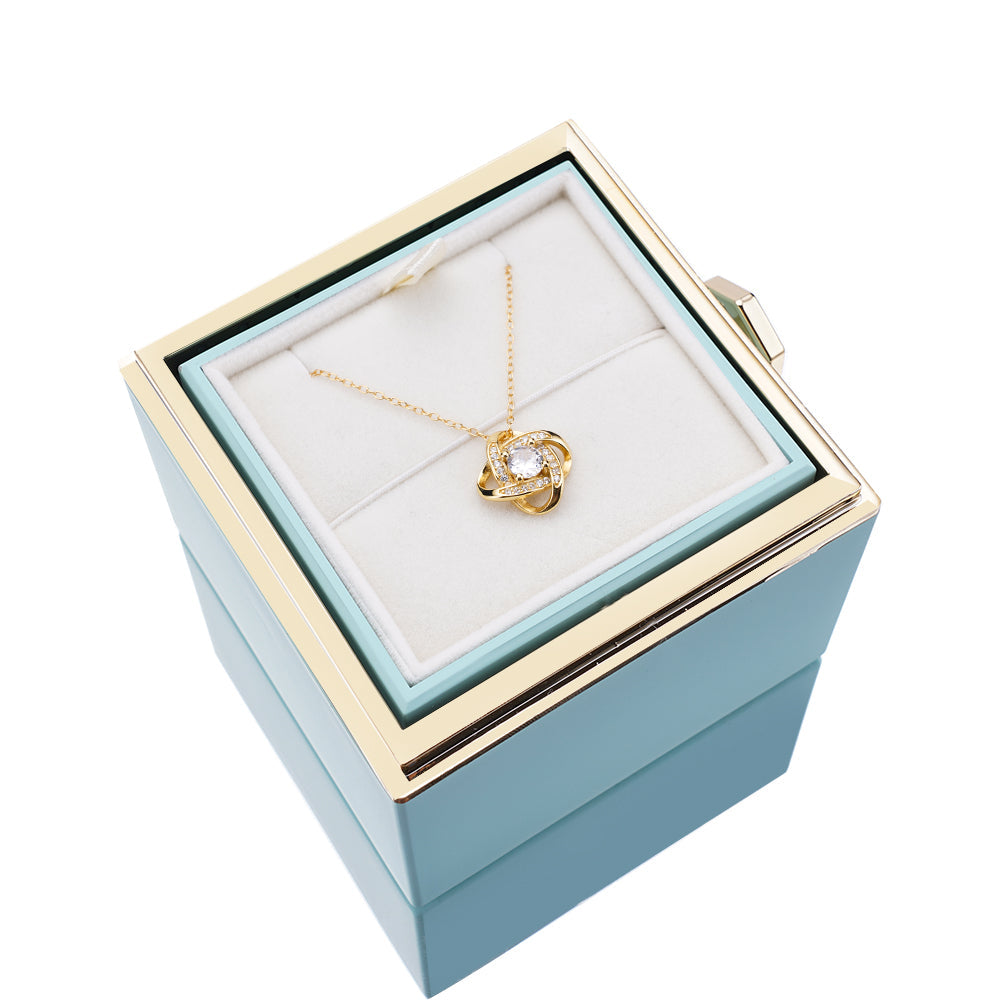 Rozenbox met Zilveren Ketting en Echte Roos