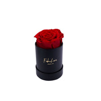 Eeuwige Rozen Boeket in Geschenkdoos