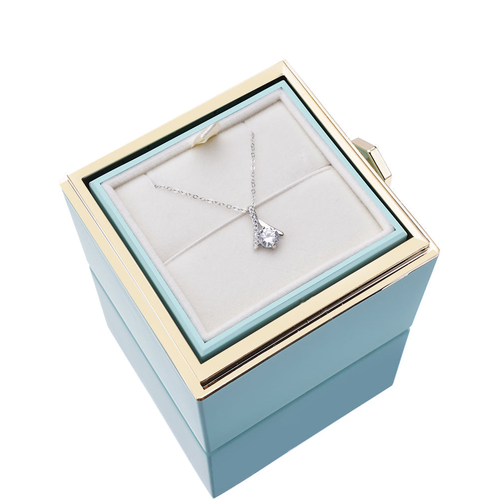 Rozenbox met Zilveren Ketting en Echte Roos