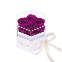 Eeuwige Rozenbox met Verborgen Ketting