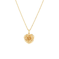 Ketting met Echte Roos Hanger
