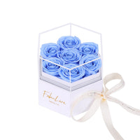 Eeuwige Rozenbox met Verborgen Ketting