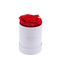 Eeuwige Rozen Boeket in Geschenkdoos